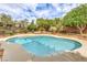 Invigorating pool surrounded by well-maintained trees and greenery, creating a private and lush backyard oasis at 2810 Lava Rock Ave, North Las Vegas, NV 89031
