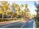 Beautiful street view in a condo community features palm trees, buildings, and well-maintained landscaping at 5250 S Rainbow Blvd # 2033, Las Vegas, NV 89118