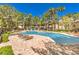Beautiful community pool surrounded by lounge chairs, palm trees, and lush greenery, perfect for relaxation at 104 Breezy Tree Ct # 201, Las Vegas, NV 89145