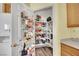 Walk-in pantry with adjustable shelving for maximum storage in the kitchen at 2077 Wildwood Lake St, Henderson, NV 89052