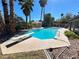 A stunning backyard pool with diving board, beautiful landscaping, and mature palm trees at 2428 Greens Ave, Henderson, NV 89014