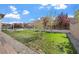 Grassy backyard with mature trees and ample space for outdoor enjoyment at 2804 Candelaria Dr, Henderson, NV 89074