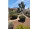 Landscaped backyard featuring a rock waterfall, mature shrubs, and a covered patio area with scenic mountain views at 6151 Naha Port Ave, Las Vegas, NV 89110