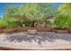 Backyard featuring a fire pit, brick-paved patio, and landscaped areas for outdoor enjoyment at 1427 Brushback Ave, Henderson, NV 89074