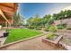 Lush backyard showcasing a well-maintained lawn, mature trees, and thoughtfully landscaped garden beds at 1546 Georgia Ave, Boulder City, NV 89005