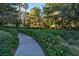 A winding walkway meanders through a landscaped area with trees and flowers, adding natural beauty at 230 E Flamingo Rd # 115, Las Vegas, NV 89169
