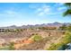 Picturesque backyard view overlooking a golf course and mountains with lush landscaping and scenic beauty at 2660 Mirabella St, Henderson, NV 89052