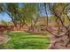 Green backyard with a retaining wall, decorative plants, trees, and decorative edging at 4593 Weitzman Pl, Las Vegas, NV 89141