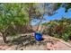 Secluded backyard oasis with lush greenery, flowering plants, and landscape lighting at 2024 Riva Del Garda Pl, Las Vegas, NV 89134