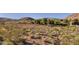 Expansive lot with desert landscaping, distant mountains, and lush trees at 14525 Heyer Way, Las Vegas, NV 89161