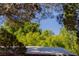 Lush greenery frames a serene view, showcasing mature trees and a tranquil atmosphere on a sunny day at 14525 Heyer Way, Las Vegas, NV 89161