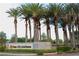Welcome to Sun City Anthem, a community boasting lush landscaping and many tall palm trees at 2920 Foxtail Creek Ave, Henderson, NV 89052