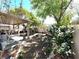 Private backyard features a covered patio, mature trees, and lush landscaping at 981 Leadville Meadows Dr, Henderson, NV 89052