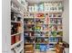 Walk-in pantry with extensive shelving for organized storage and supplies at 2436 Grassy Spring Pl, Las Vegas, NV 89135