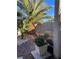 Backyard featuring various palm trees, flowerpots, plants, and rock landscaping at 4534 Regalo Bello St, Las Vegas, NV 89135