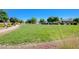 Expansive green space with mature trees, professional landscaping, and walking path at 9108 Tuxpan St, Las Vegas, NV 89131