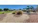 Shaded picnic area features grill and tables near lawn and walking paths at 9108 Tuxpan St, Las Vegas, NV 89131