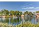 Beautiful lake view with lush greenery, palm trees, and a tranquil waterfall feature at 1004 Bluebird Ridge Ct, North Las Vegas, NV 89084