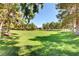 Lush green space with mature trees offers serene views and community gathering space on a bright sunny day at 2221 Loggerhead Rd, Las Vegas, NV 89117
