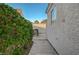 Exterior side yard with concrete path and gate access, framed by lush green shrubs and house siding at 2914 Luminous Ct, North Las Vegas, NV 89032