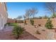 Desert landscaped backyard featuring rock garden and manicured shrubs at 9853 Russian Hill St, Las Vegas, NV 89141