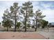 View of the front yard featuring mature pine trees, gravel accents, and fencing at 1081 Pluto St, Pahrump, NV 89048