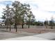 Landscaped front yard featuring mature pine trees and gravel accents, enhancing curb appeal at 1081 Pluto St, Pahrump, NV 89048