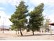 Spacious front yard with mature trees, offering shade and curb appeal at 1081 Pluto St, Pahrump, NV 89048