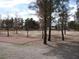 Picturesque view of trees on a large lot at 1081 Pluto St, Pahrump, NV 89048