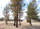 Beautiful yard features large trees and open space, perfect for recreation and relaxation at 1081 Pluto St, Pahrump, NV 89048