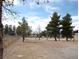 Large, fenced yard with mature trees, provides privacy and space for outdoor activities at 1081 Pluto St, Pahrump, NV 89048