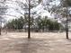 Large lot with mature trees provides privacy and ample space at 1081 Pluto St, Pahrump, NV 89048