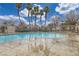 Community pool with a sun deck and palm trees under a sunny blue sky at 4850 Straight Flush Dr # 103, Las Vegas, NV 89122