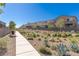 Neighborhood landscaped with desert plants and walking paths offers a serene and picturesque setting at 9233 Far Side Ave, Las Vegas, NV 89143