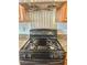 Close-up of a modern gas range with a stylish stainless steel backsplash at 486 Stonegate Meadow Ave, Las Vegas, NV 89178