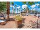 Relaxing community area with a barbecue, picnic table and palm trees at 2048 Mesquite Ln # 303, Laughlin, NV 89029