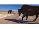 Artistic bison and mammoth metal sculptures in a desert setting at the Ice Age Fossil State Park at 3725 Moonshine Falls Ave, North Las Vegas, NV 89085