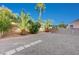 Back yard featuring desert landscaping with mature palms, gravel, and a paver walk way at 5824 Farmhouse Ct, Las Vegas, NV 89141