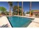 Large backyard swimming pool surrounded by towering palm trees and a beautifully landscaped yard at 800 Kenny Way, Las Vegas, NV 89107