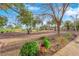 Expansive backyard featuring desert landscaping and mature trees at 9013 Litchfield Ave, Las Vegas, NV 89134
