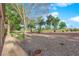 Expansive backyard featuring beautiful trees, desert landscaping, and open space at 9013 Litchfield Ave, Las Vegas, NV 89134