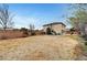 Expansive backyard with beautiful plants, perfect for outdoor living at 10247 Gladstone Peak St, Las Vegas, NV 89166