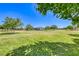 Grassy park area with shade trees and playground equipment offers a fun outdoor space for residents at 10924 Bandol Pl, Las Vegas, NV 89141