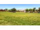 Large green space for community activities, featuring mature trees and a well-kept lawn at 1973 Ardilea St, Las Vegas, NV 89135