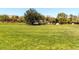 Expansive green space in the community, ideal for outdoor activities and relaxation at 1973 Ardilea St, Las Vegas, NV 89135