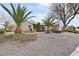 Single-story home featuring desert landscaping including mature palm trees and stone accents at 2052 Powder Springs St, Henderson, NV 89052
