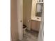 Convenient half bath with a single sink vanity, and a toilet with a maroon seat for contrast at 221 Oro Canyon St, Henderson, NV 89074
