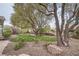Expansive backyard featuring lush greenery and mature desert landscaping at 10580 Riva Grande Ct, Las Vegas, NV 89135