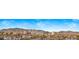 Panoramic view of the city skyline and majestic mountains, dotted with lush palm trees at 11680 Evergreen Creek Ln, Las Vegas, NV 89135