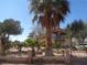 Charming two-story home with desert landscaping, brick wall, and a tall palm tree in front at 3127 Aloha Ave, Las Vegas, NV 89121
